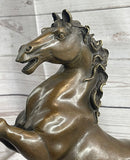 Rearing Horse Trainer Equestrian Artwork Art Bronze on Marble Statue Sculpture