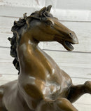 Rearing Horse Trainer Equestrian Artwork Art Bronze on Marble Statue Sculpture