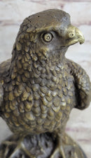 Guardian Eagle Hawk Bird Bronze Statue Sculpture Figure 12" x 9"