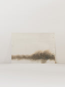 Wash on Wash Study