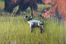 Water Buffalo Lapel Pin