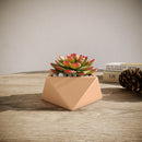 Concrete Mini Wedge Tabletop Planters (Set of 2)
