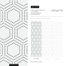 Minimalist Dotted Hexagon Geometric Wallpaper in Black - A730