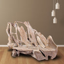 Modern Free Form Teak Root Chair/Bench 29