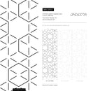 Geometric Wallpaper with a Hexagonal Line Pattern in Black - B153