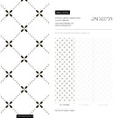 Minimalist Dotted Trellis Geometric Wallpaper in Black - B293
