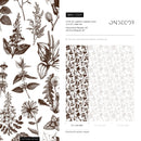 Herbal Wallpaper with Vintage Botanical Illustrations in Brown and White - C024