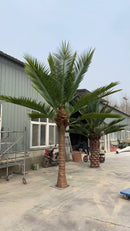Royal Palm Artificial Tree 13ft–23ft – UV Resistant (10–12 Week Lead Time)