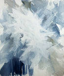 White Dove - Limited Edition Canvas Print