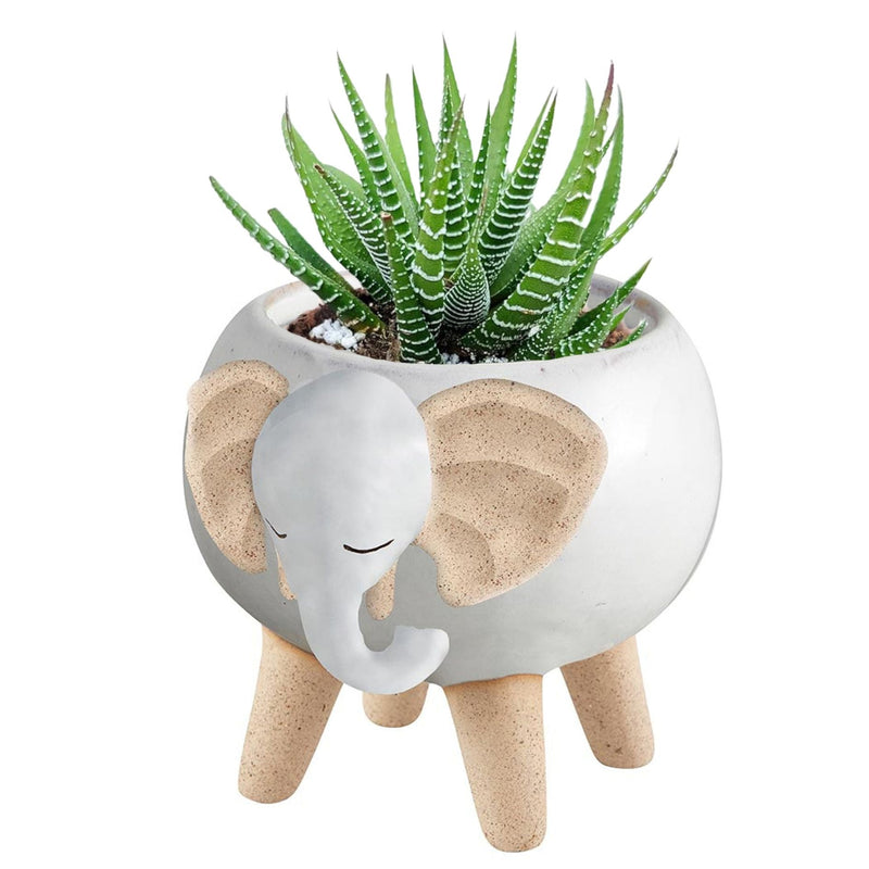 white elephant planter pot White Elephant Pot