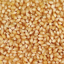 Organic White Popcorn Kernels | 2 lb | Non-GMO | Grain Place Foods
