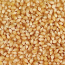 Organic White Popcorn Kernels | Pack of 2 | 2 lb | Non-GMO | Grain Place Foods