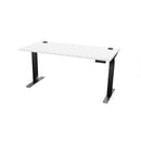 Atlas 66" Sit Stand Office Desk