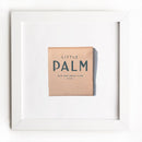 Little Palm