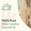 White Camphor Essential Oil