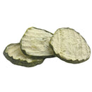 Freeze Dried Veggie Package | Ranch Cucumbers, Pickles and Sweet Potato Chips