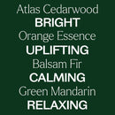 Woodland Retreat™ Essential Oil Blend