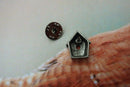 Wren House Lapel Pin