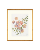 Pastel Peaches
