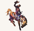 Wyoming Bucking Horse and Rider Metal Art