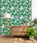 Fashionable Monstera Plants Wallpaper Tasteful