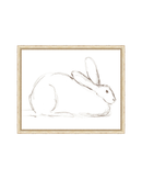 Bunny Charcoal Sketch