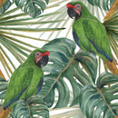 Parrots on Monstera Leaves Wallpaper