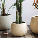 Rustic Globe Cement Planter