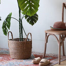 Handwoven Seagrass Basket for Plants