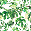 Elegant Green Monstera Wallpaper