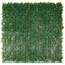Sample Panel – Yellow English Boxwood Green Wall (Small Sample)