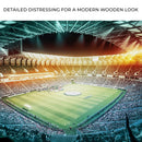 Stadium Soccer Full Packed Canvas Wall Art