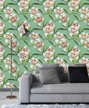 White Orchid on Green Background Wallpaper