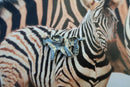 Zebra Lapel Pin
