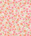 Zinnia Wallpaper by Ela Spurden