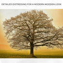 Golden Oak Tree Canvas Wall Art
