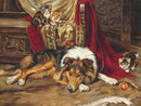 A Reluctant Playmate B585L Counted Cross-Stitch Kit