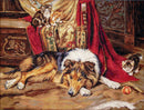 A Reluctant Playmate B585L Counted Cross-Stitch Kit