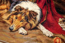 A Reluctant Playmate B585L Counted Cross-Stitch Kit