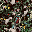 Modish Exotic Birds Wallpaper Tasteful