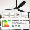 52Inch Matte Black Ceiling Fan Indoor Outdoor Low Noise