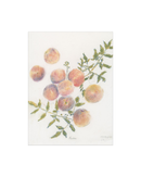 Pastel Peaches