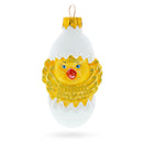 Baby Chick in Egg Glass Christmas Ornament
