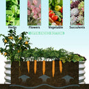Galvanized Raised Garden Bed Kit for Vegetables, Flowers & Herbs, Rust-Resistant, Easy Assembly