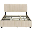 Queen Size Velvet Upholstered Platform Bed with 2 Drawers and 1 Twin XL Trundle- Beige