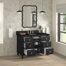 James Martin Lorelai 48" Single Bathroom Vanity, Black Onyx