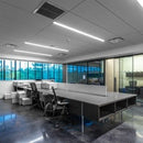 Absolume LM-LF 15W LED 4" X 2' Linear Flat Panel Selectable CCT 2 Pack