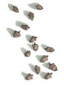 Acorns - Open Edition Canvas Print
