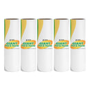 Aegis Giant Pet & Home Lint Roller Pet Hair Roller with Extendable Long Handle