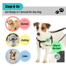 Aegis GLOW Calming Clip for Dog | 100% Natural Oil Helps your Dogs feel Safe and Happy